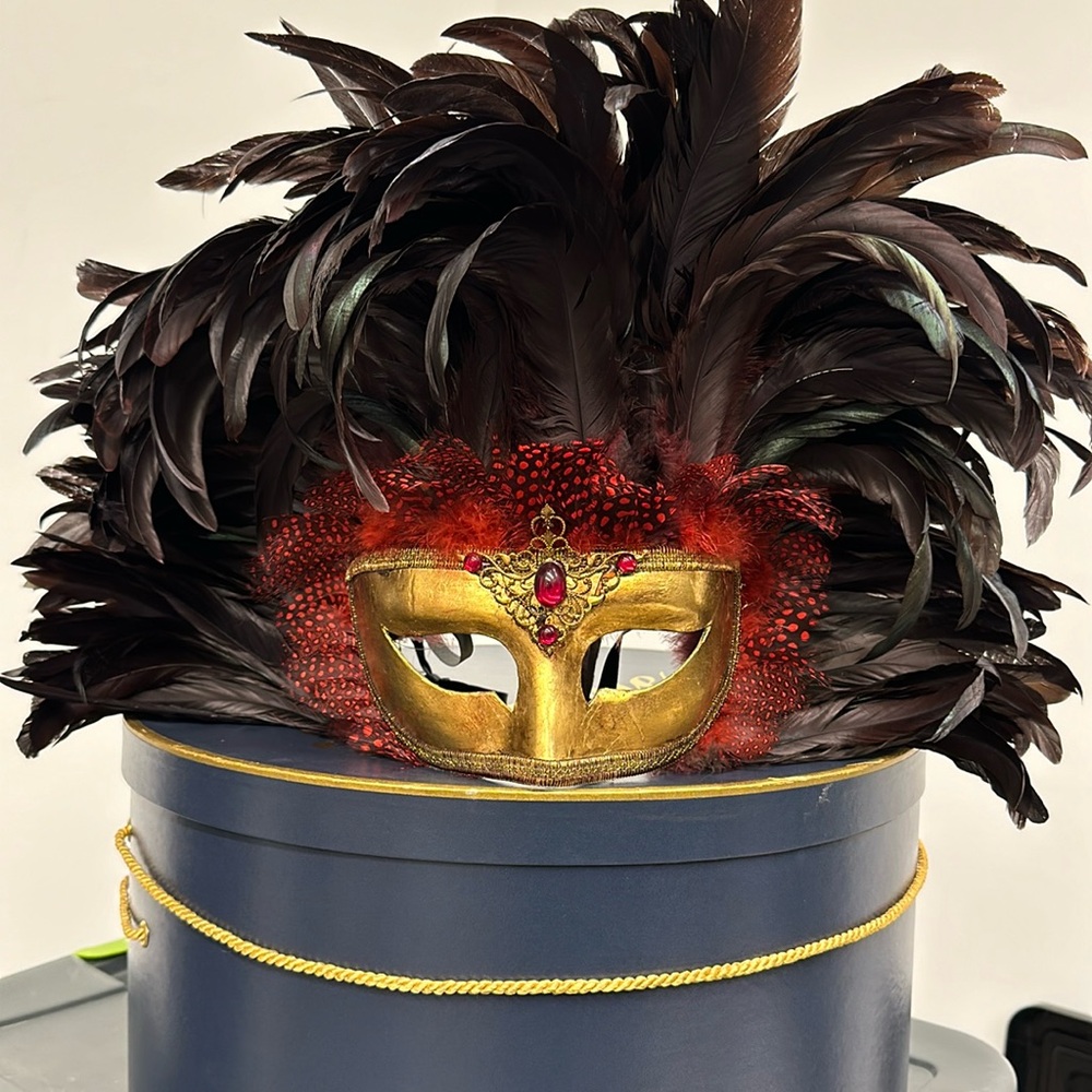 Elegant Feathered Gold and Red Mask